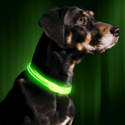 Ferdo LED Dog Collar