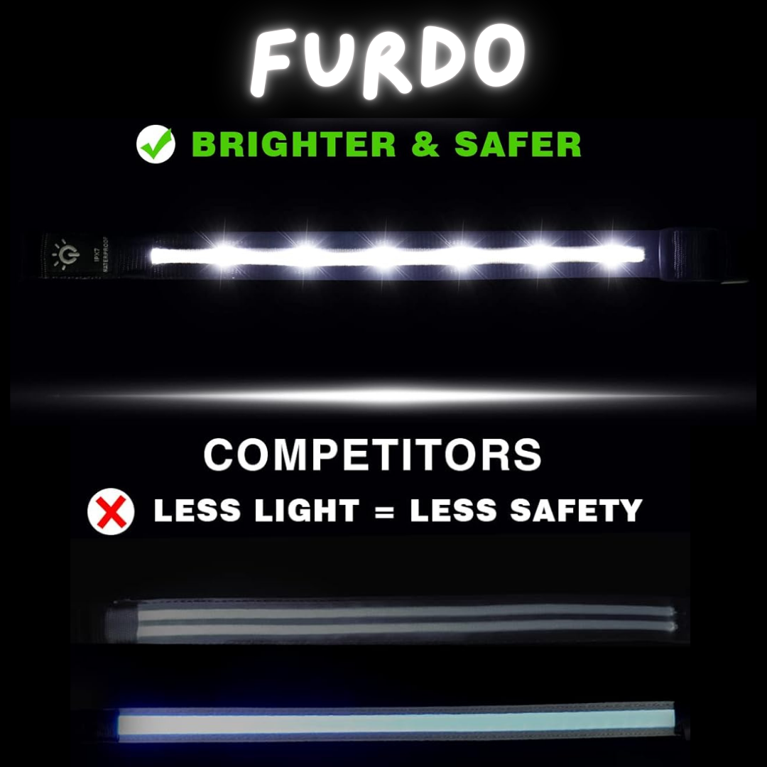 Ferdo LED Dog Collar