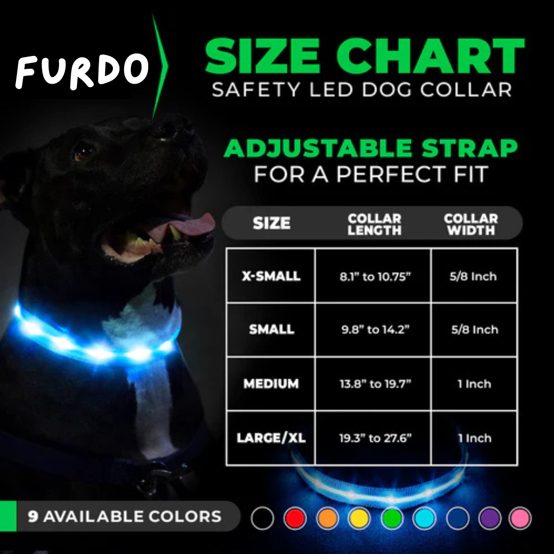 Ferdo LED Dog Collar