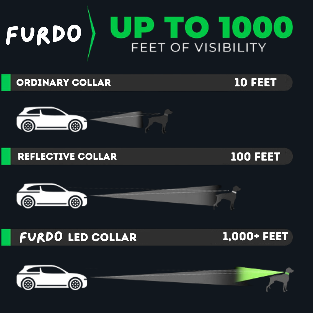 Ferdo LED Dog Collar